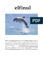 Delfinul 2