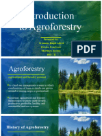 Agro Forestry