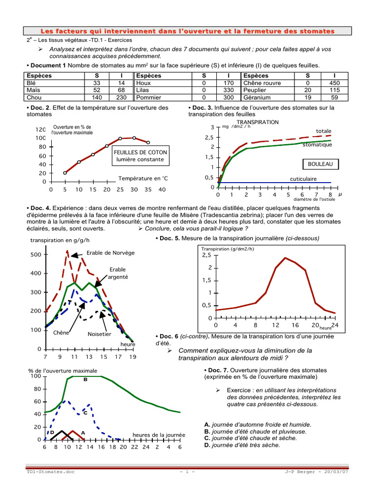 Stomates : Impact sur Transpiration et Photosynthèse | PDF | Stomate ...