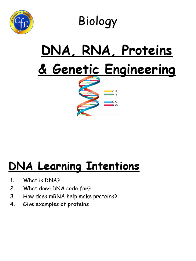 n4n5 Dna Rna Proteins Ge Powerpoint | PDF