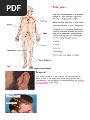 Temporal Carotid Pulse Pulse Points Nursing | TikTok