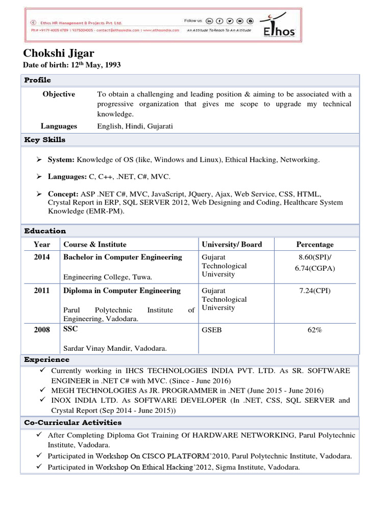 Software Engineer's Resume | PDF