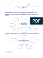 Science V - Worksheets - 1st Quarter