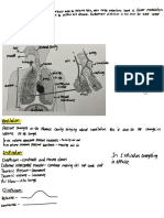 Biology 3