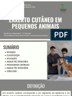 Enxerto Cutâneo em Pequenos Animais