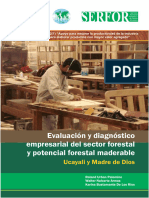 Evaluacion y Diagnostico Empresarial Del Sector Forestal