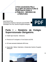 Impactos Causados Pela Salmonella Slide TCC