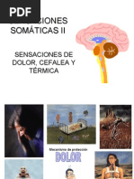 Clase6-Sensaciones Somaticas II Cefalea Dolor