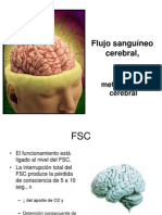 Clase14-Flujo Sanguineo Cerebral