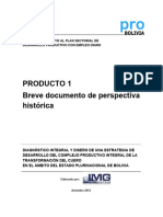 Producto 1 Perspectiva Histórica