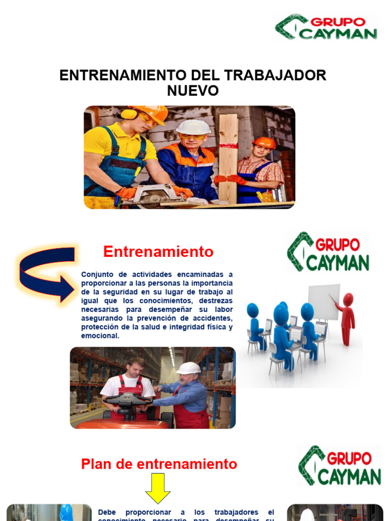Entrenamiento Laboral en Seguridad y Salud | PDF | Valores | Business