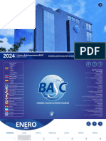 Programador-BASC Diagramacion 2024 WEB