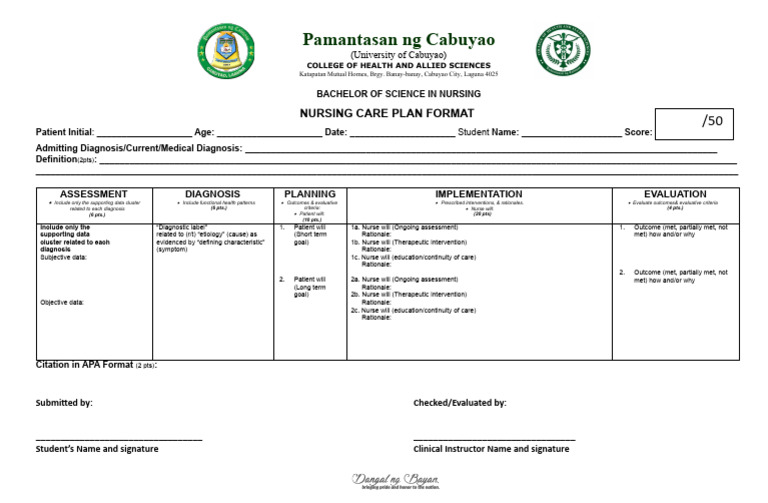 nursing-care-plan-format-pdf