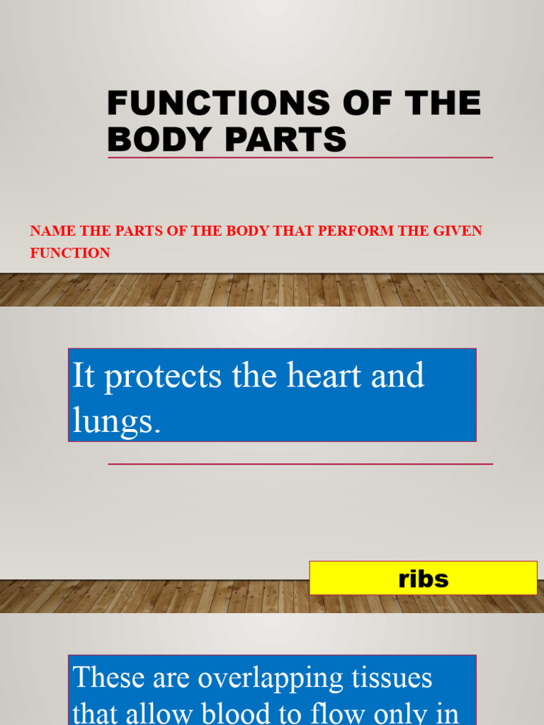 Functions of Human Body Parts Explained | PDF | Human Body | Human ...