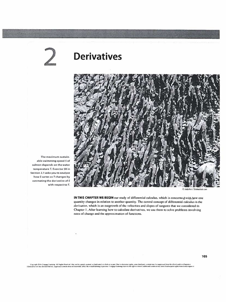 2.1 Derivatives and Rates of Change (Notes and Tutorilas) | PDF