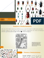 Evolução Dos Seres Vivos