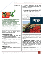 Buenas Prácticas Agrícolas para El Cultivo de Tomate SEPARATA