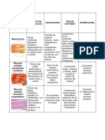 Cuadro Tipo de Musculos