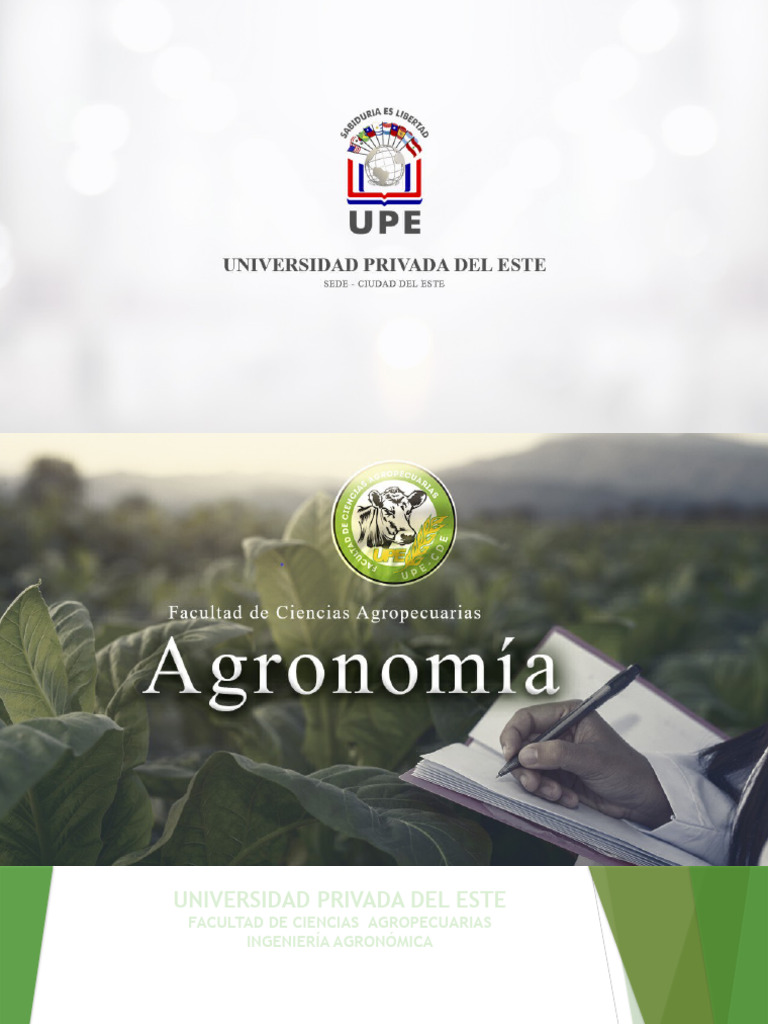 Tabla de Contingencia Descargar gratis PDF Prueba de ji cuadrado Distribución Cuadrada Chi