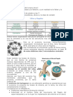 Cilios y Flagelos + Matriz ExtraCelular