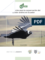 Plan de acción del condor ECUADOR
