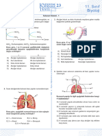 23 Solunum Sistemi - 1