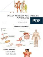 12 Human Anatomy and Exercise Physiology