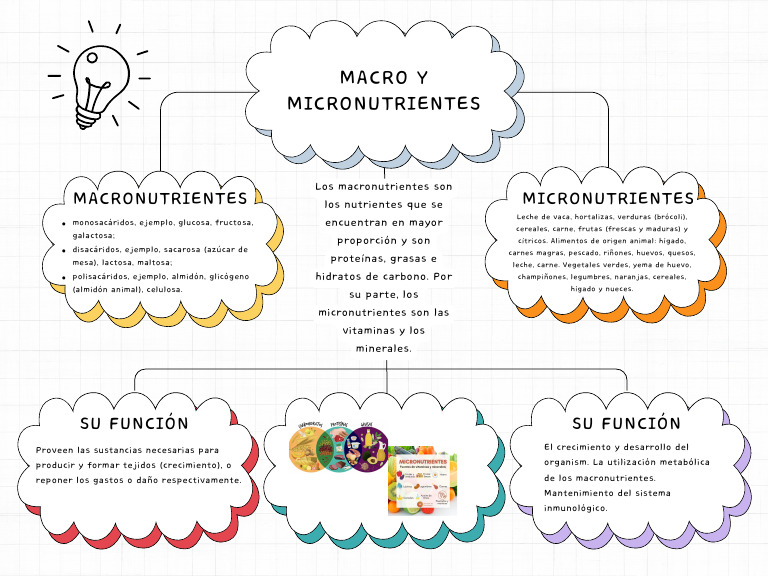 Colorful Creative Mind Map Graph | PDF
