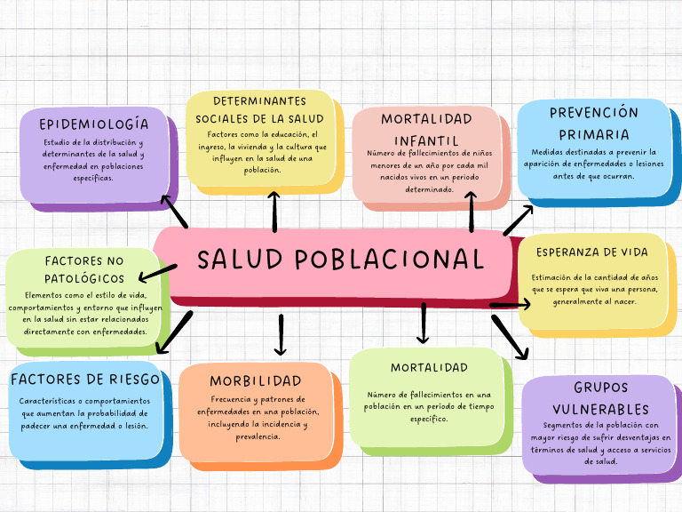 Mapa Conceptual de Salud Pública | PDF