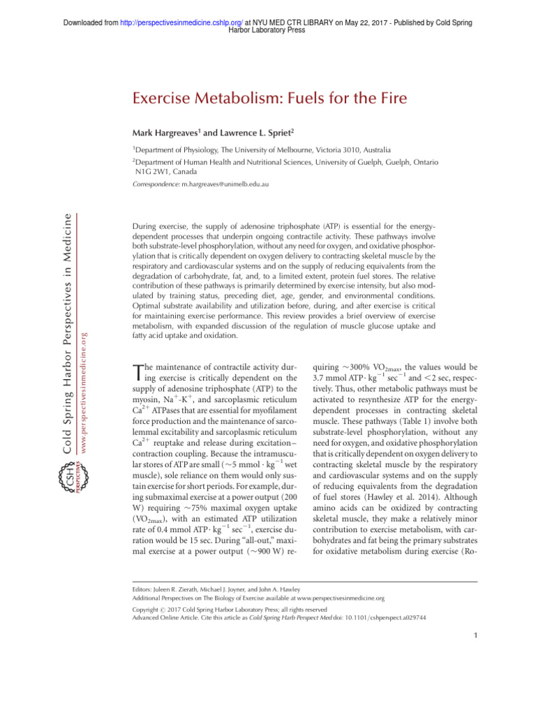 Exercise Metabolism Fuels For The Fire | PDF