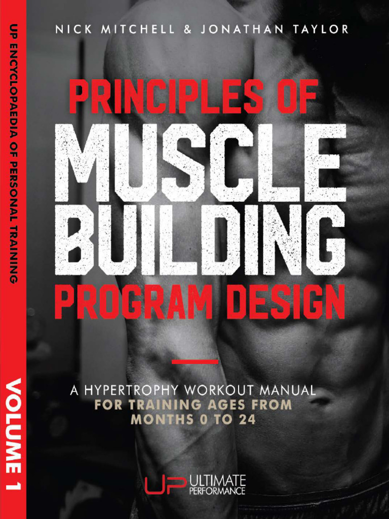 Muscle Building Program Essentials | PDF