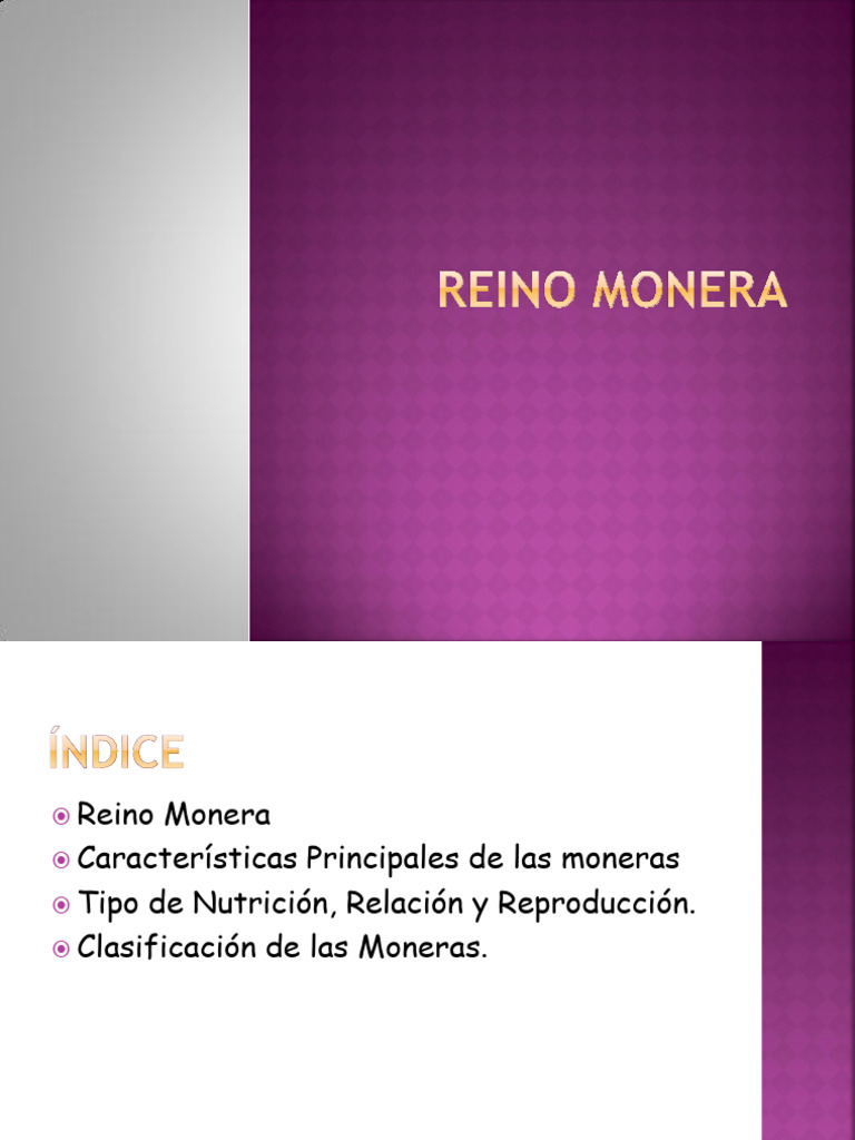 Reino Monera | PDF
