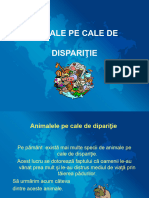 Animaledisparitie