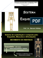 Aula Teórica Sistema Esquelético Completa