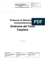 Protocolo SD Tunel Carpiano
