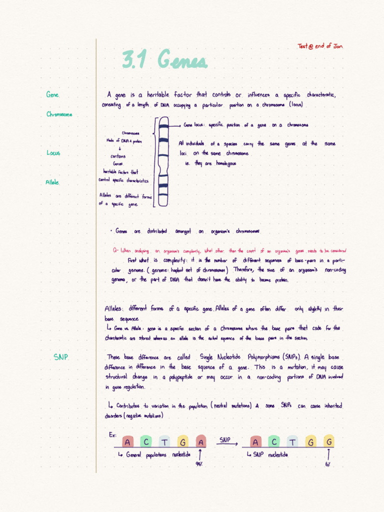 Note Dec 19 2022 Pdf