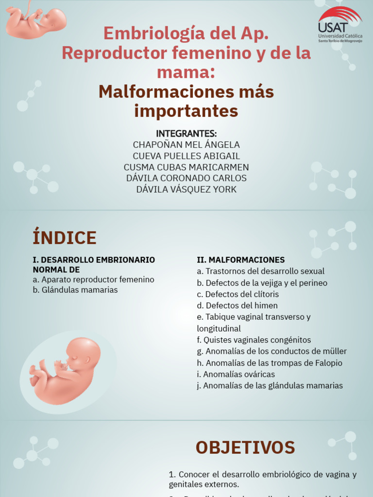 Expo 13 - Embriología Del AP. Reprod Femenino y de La Mama | PDF ...