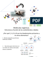 Te 3. Las Moléculas Orgánicas. Estructura y Función de Los Carbohidratos y Lípidos