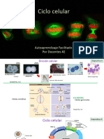 AFPD2. Ciclo Celular 2023-I