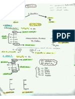 Résumé5 Biochimie Structurale