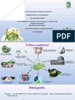 Mapa Mental Politica Ambiental