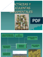 Cactaceas y Suculentas Ornamentales