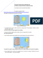 Laboratorio Simulación Carga y Fuerza Eléctrica IMPRIMIR