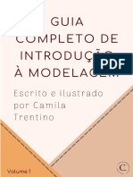 Guia Completo de Introdução A Modelagem