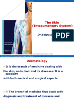 Introduction of Dermatology