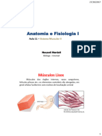 Anatomia e Fisiologia I - Aula 11 - Sistema Muscular II