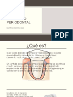 Ligamento Periodontal