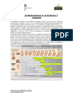 Guia de Uso de Medicamentos en Embarazo y Lantacia - CIME-UMAZA