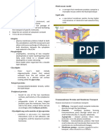 II. Chapter 2 (Cytoplasm)