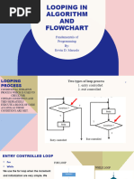 Looping Procees